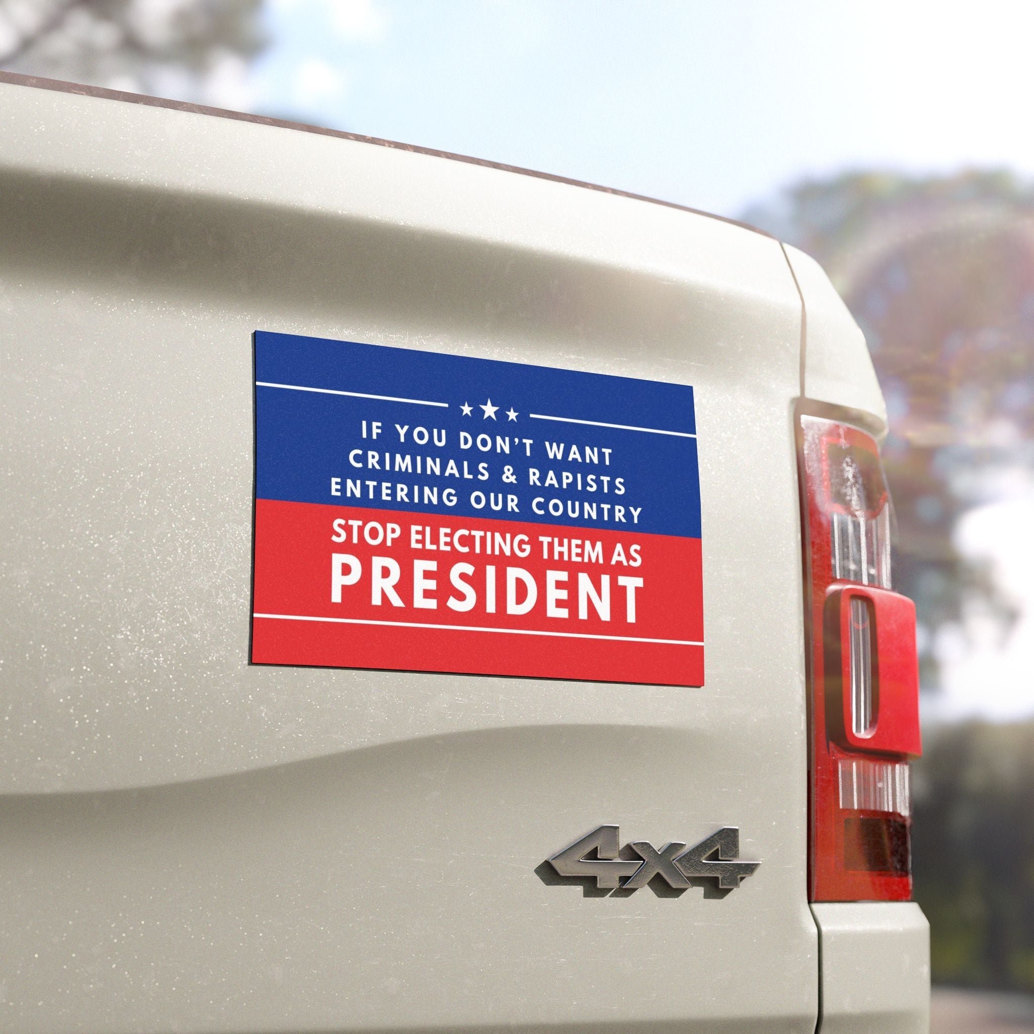 Anti-Trump Car Magnet
