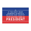 Anti-Trump Car Magnet