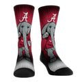 Alabama Crimson Tide - Mascot Pump Up!