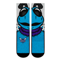 Charlotte Hornets - Split Face Mascot
