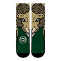 Colorado State Rams - Cam The Ram Mascot