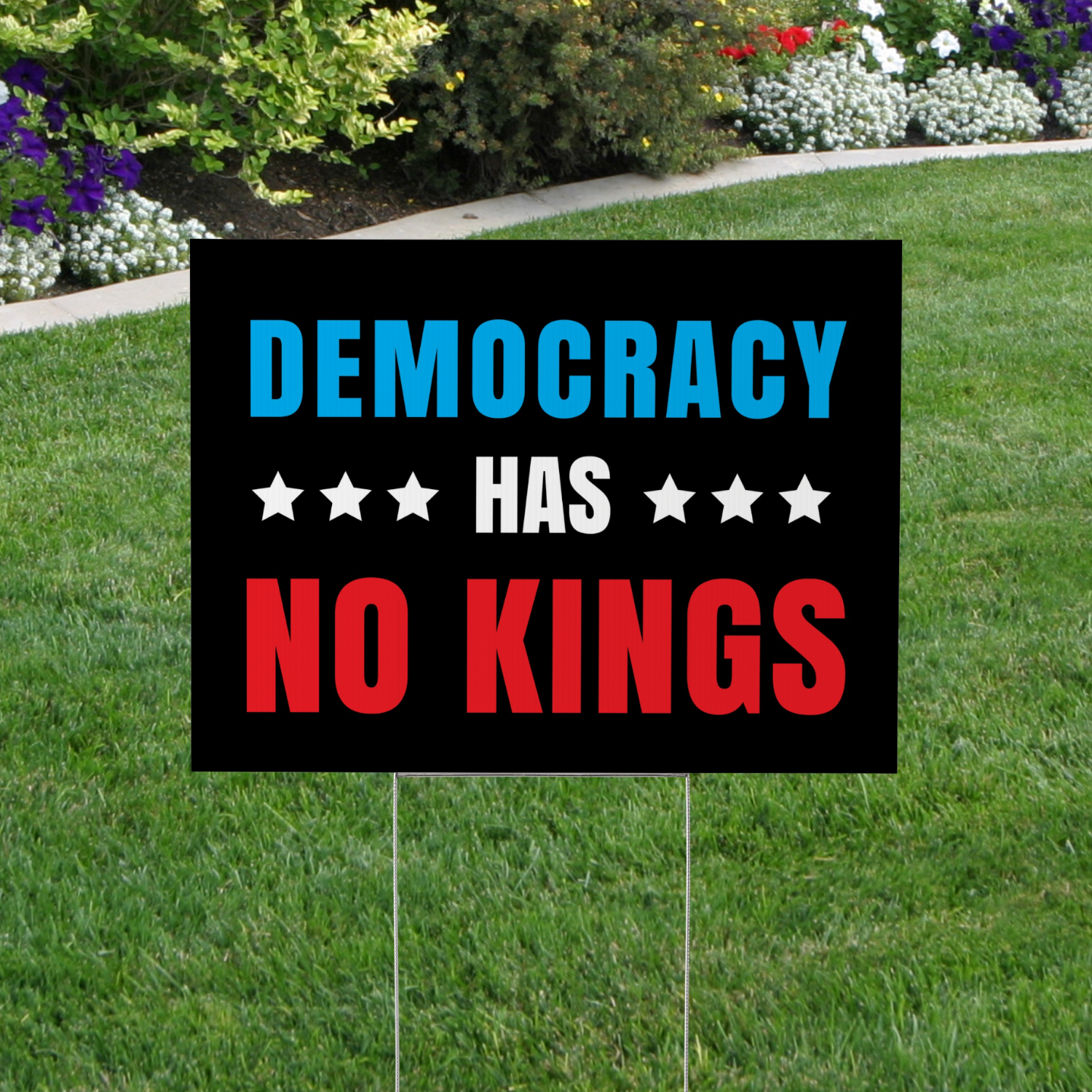 Democracy has No Kings Yard Sign
