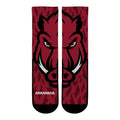 Arkansas Razorbacks - Mascot