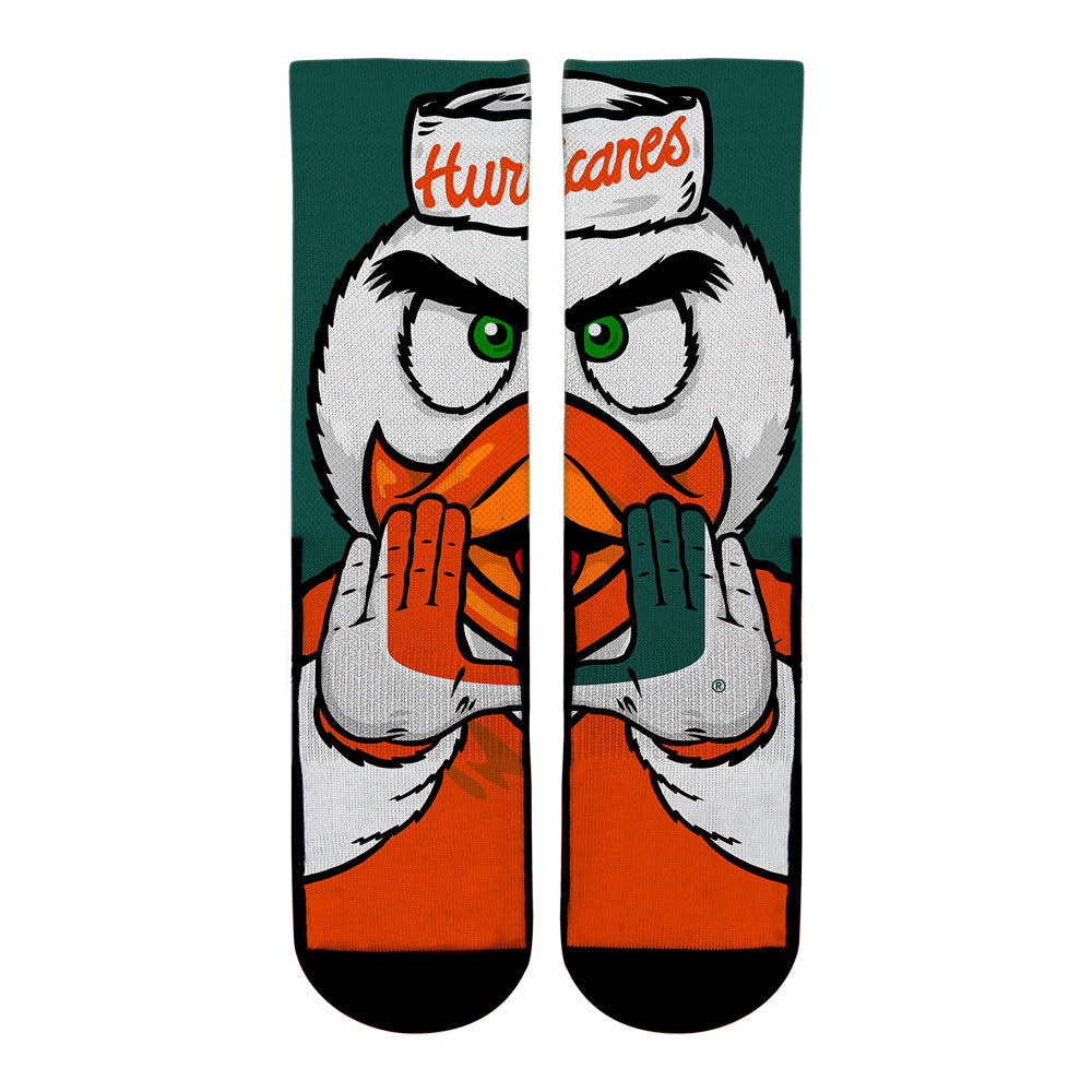 Miami Hurricanes - Sebastian the Ibis Mascot